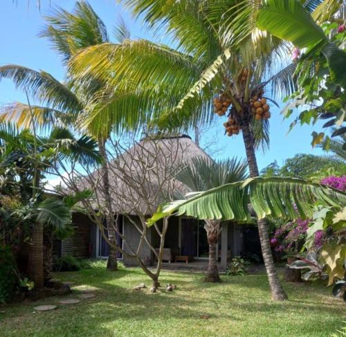 Brahmanhut - Eco Hut Experience In Harmony With Nature, Wellbeing And Spirit Bain Boeuf Exterior foto